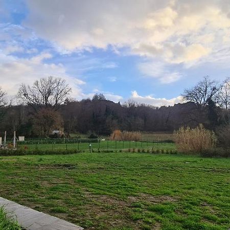 טרנובה ברצ'וליני Villa Azzurra Immersa Nel Verde Tra Firenze, Arezzo E Siena מראה חיצוני תמונה